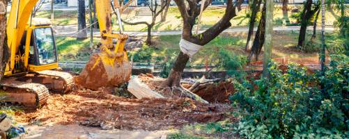 Tree removal with excavator
