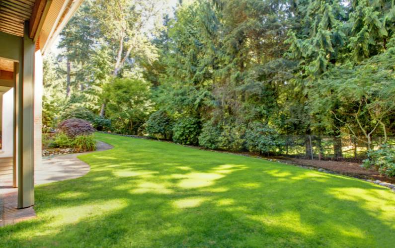 Make Your Yard Drought-Friendly: Steps to an Eco-Friendly Home