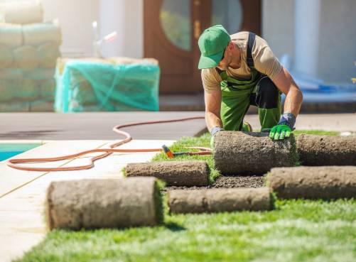 Gardener Installing Grass Turfs 