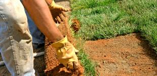 Landscaping - Laying Sod