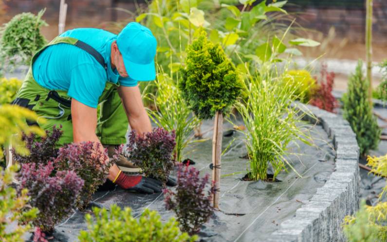 10 Reasons to Leave Landscape Maintenance to a Professional